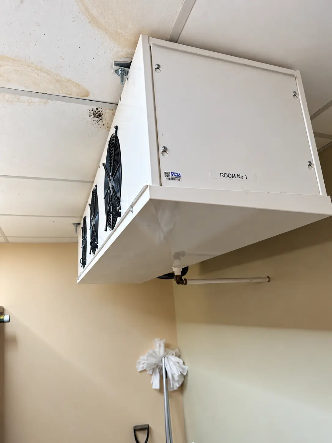 Cold Room 1 indoor blower coil before removal.
